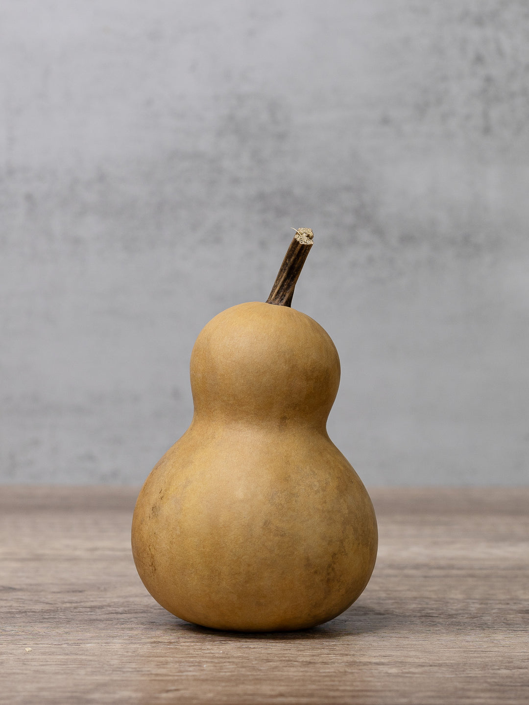 Three inch bottle gourd at Meadowbrooke Gourds