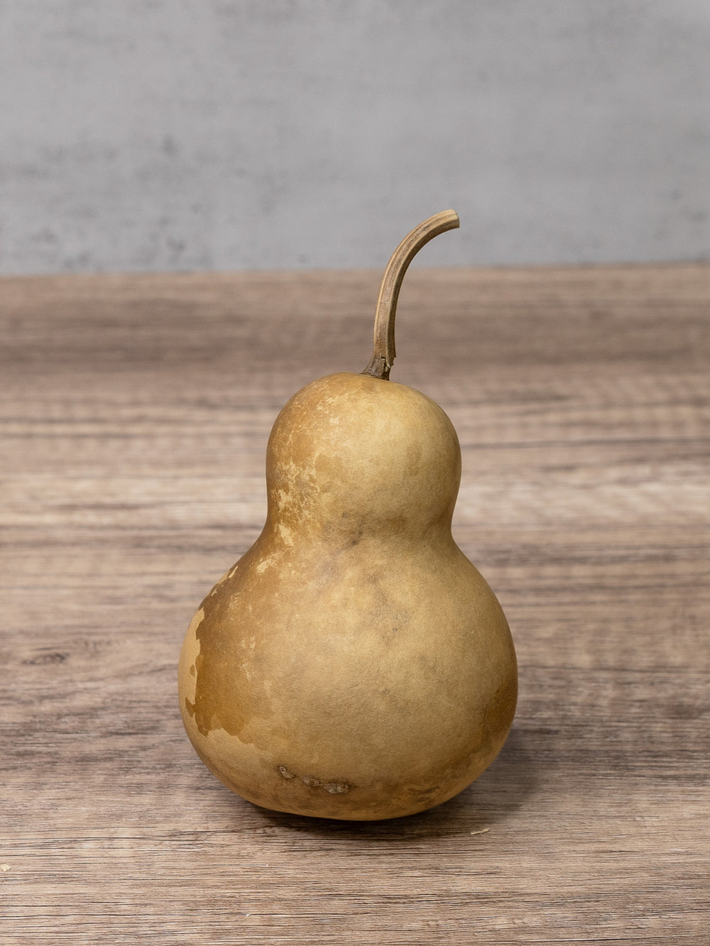 Three inch bottle gourd at Meadowbrooke Gourds