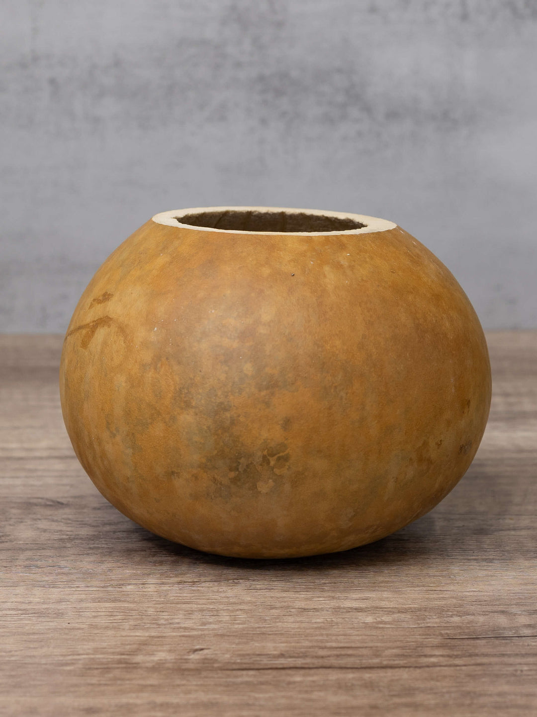 Raw unfinished six inch gourd bowl at Meadowbrooke Gourds