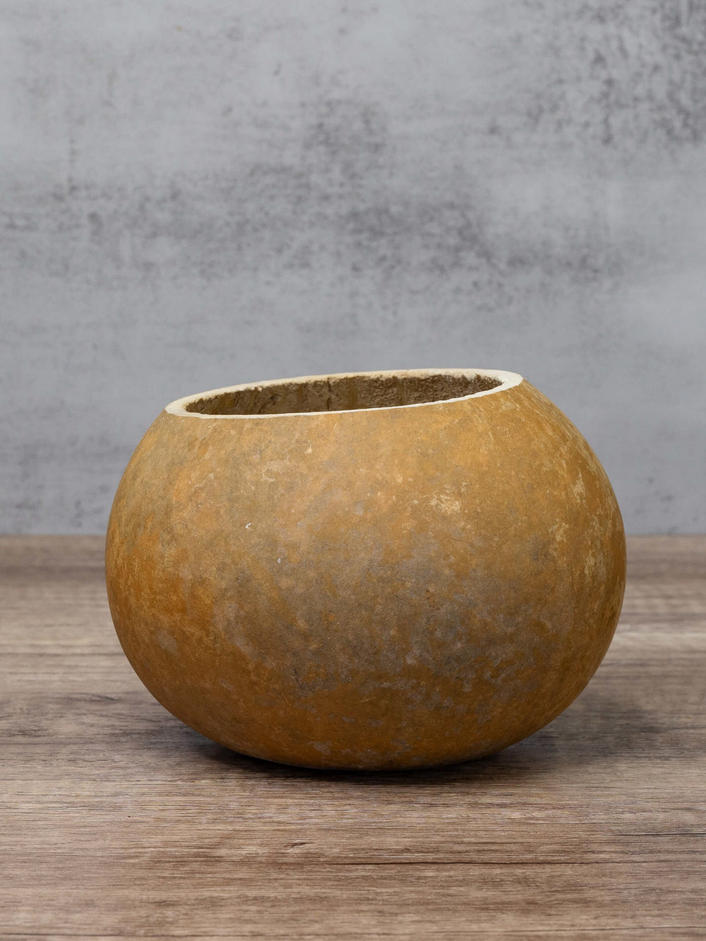 Raw unfinished six inch bowl gourd at Meadowbrooke Gourds