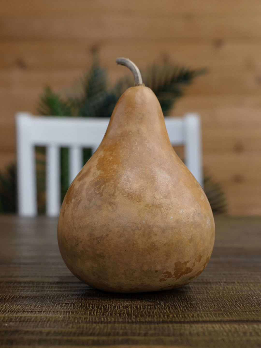 Raw unfinished seven inch martin gourd at Meadowbrooke Gourds