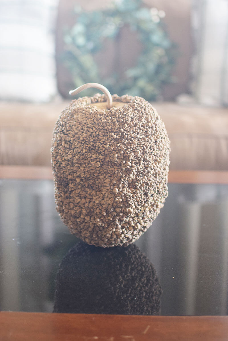 Raw african warty gourd