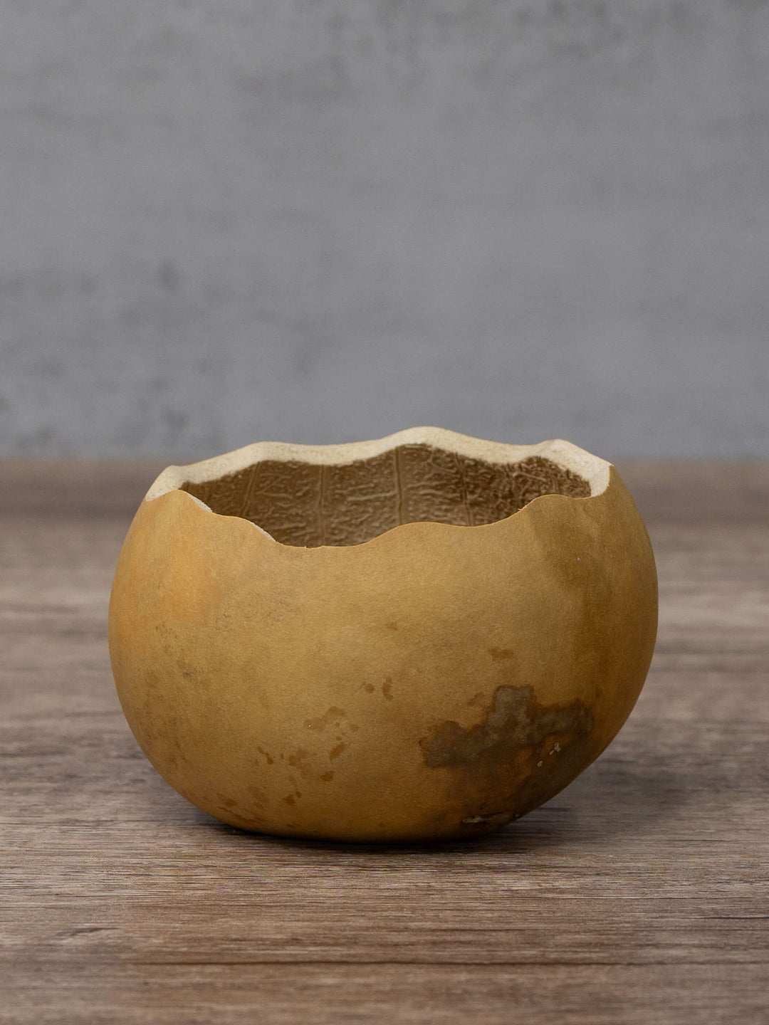 Three inch gourd bowl at Meadowbrooke Gourds