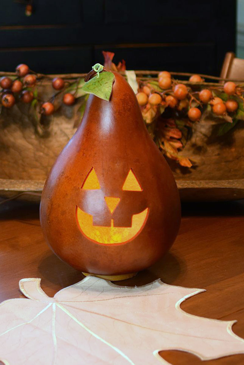 Tradtional Jack at Meadowbrooke Gourds.