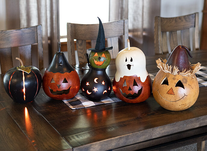 Fall Create Your Own Large Gourd Samples at Meadowbrooke Gourds.