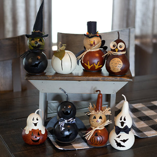 Fall Create Your Own Small Gourd Size Samples at Meadowbrooke Gourds.