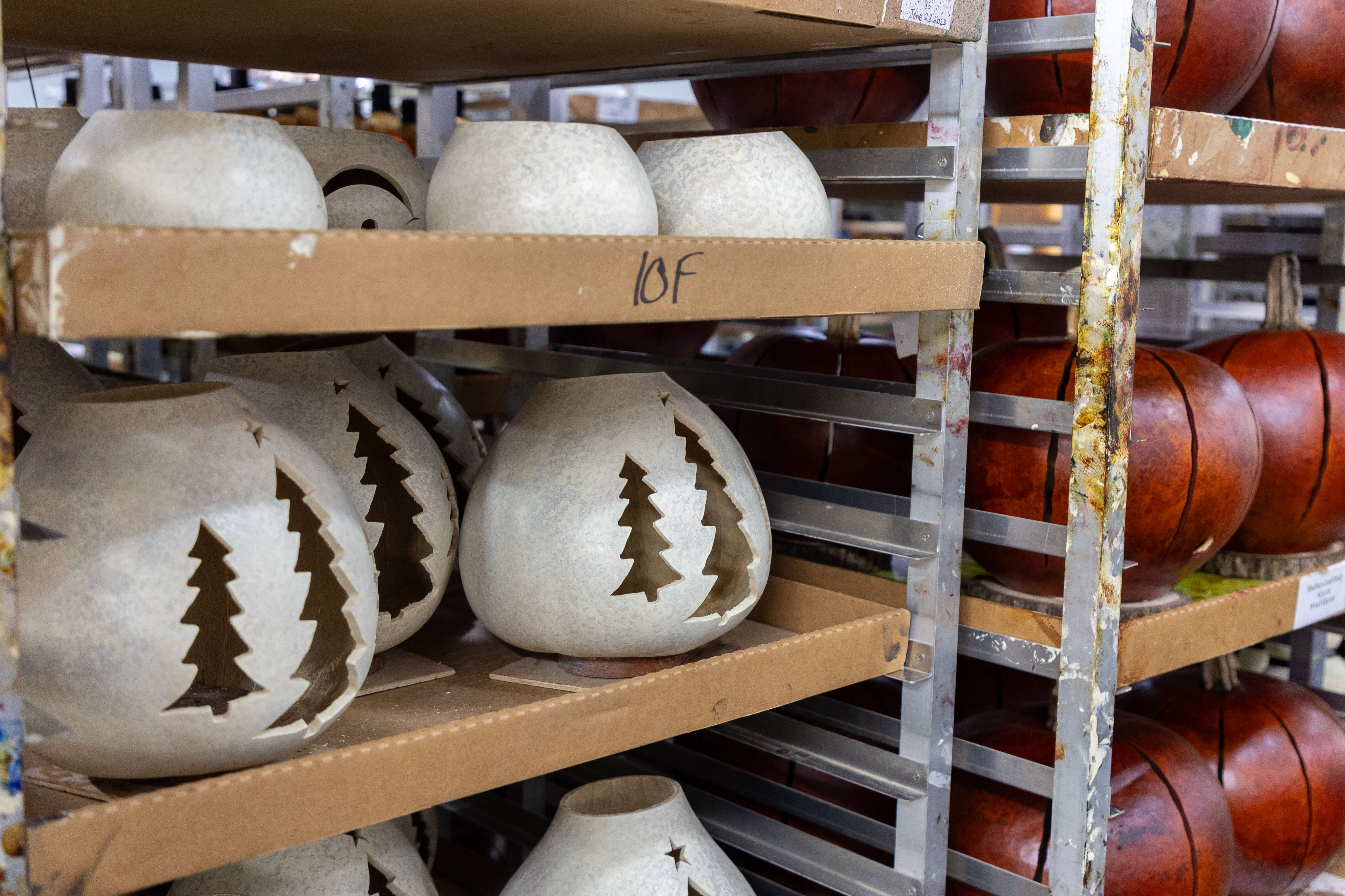 Trays of gourds in our production area at Meadowbrooke Gourds.
