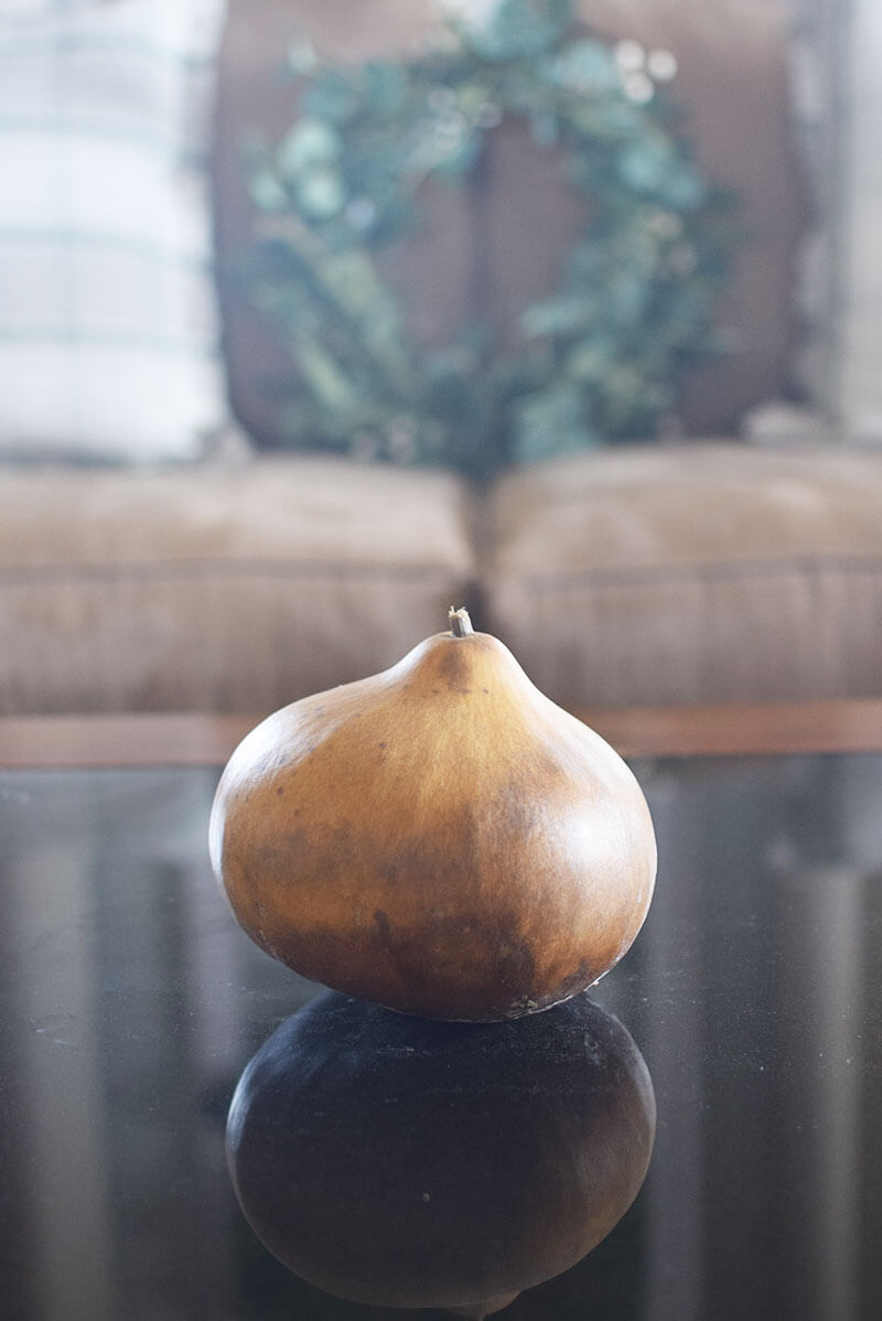 Raw hopi rattle gourd