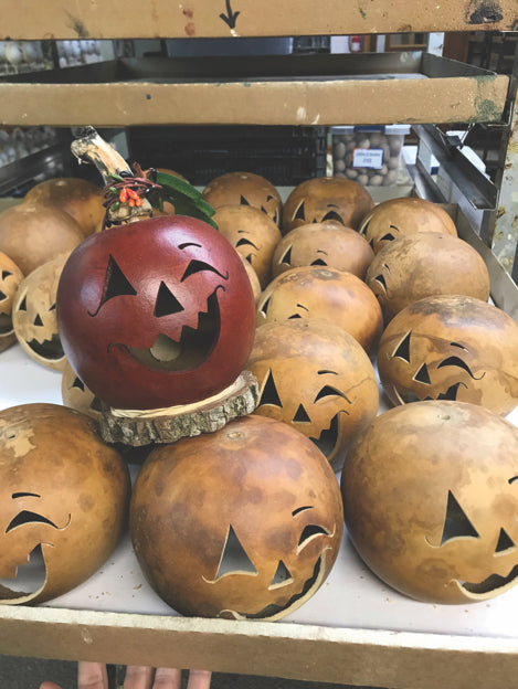 Orange Fredrick Jack-o-lantern gourd and not dyed Fredrick gourd heads at Meadowbrooke Gourds.
