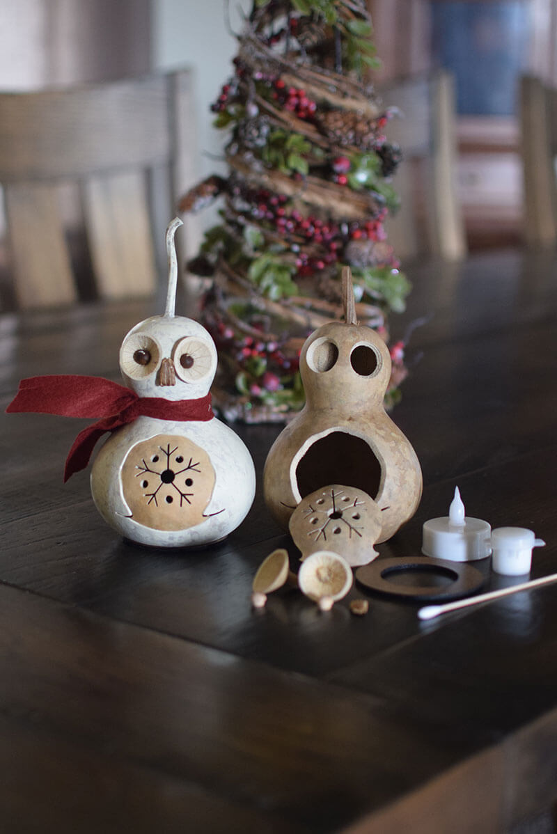 Owl Craft Kit Finished and Unfinished at Meadowbrooke Gourds.