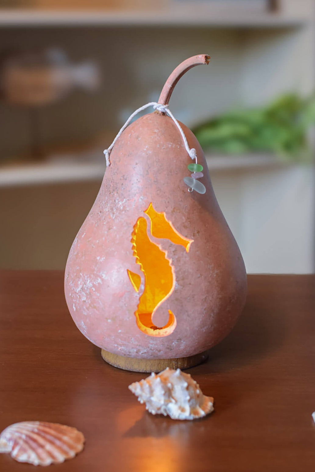 Sea Horse Gourd at Meadowbrooke Gourds.
