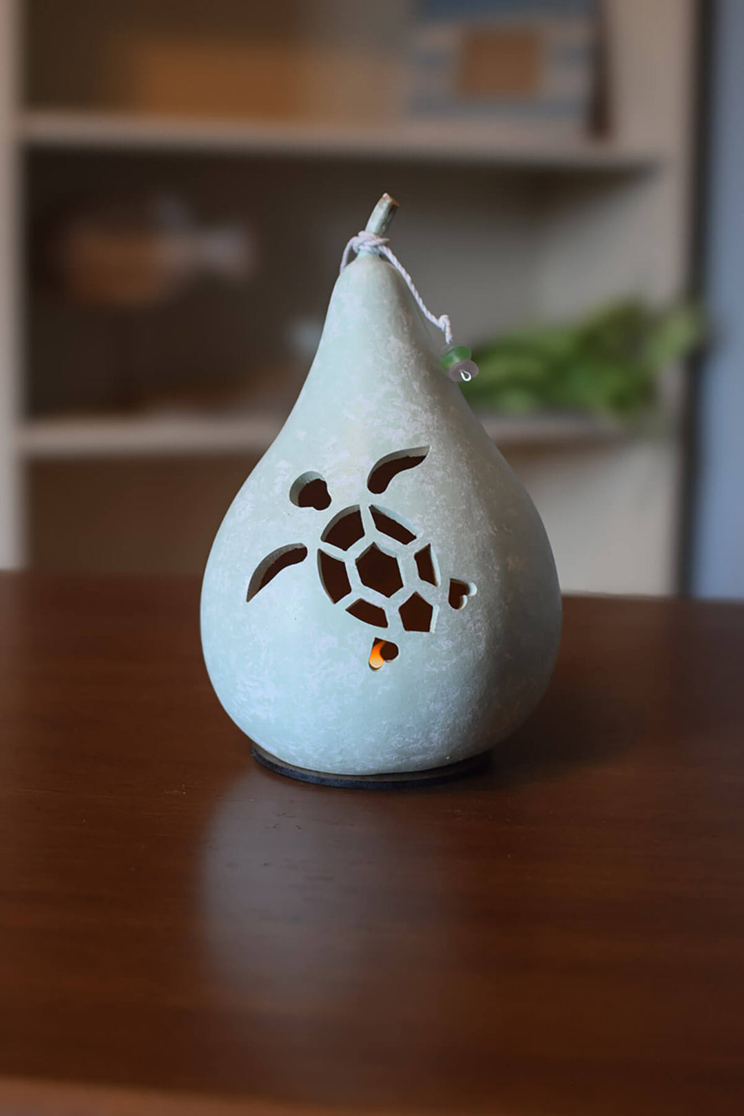 Miniature sea turtle gourd at Meadowbrooke Gourds