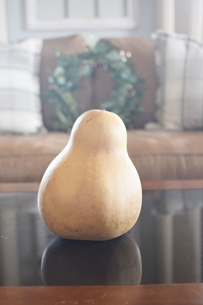 Small kettle gourd at Meadowbrooke Gourds