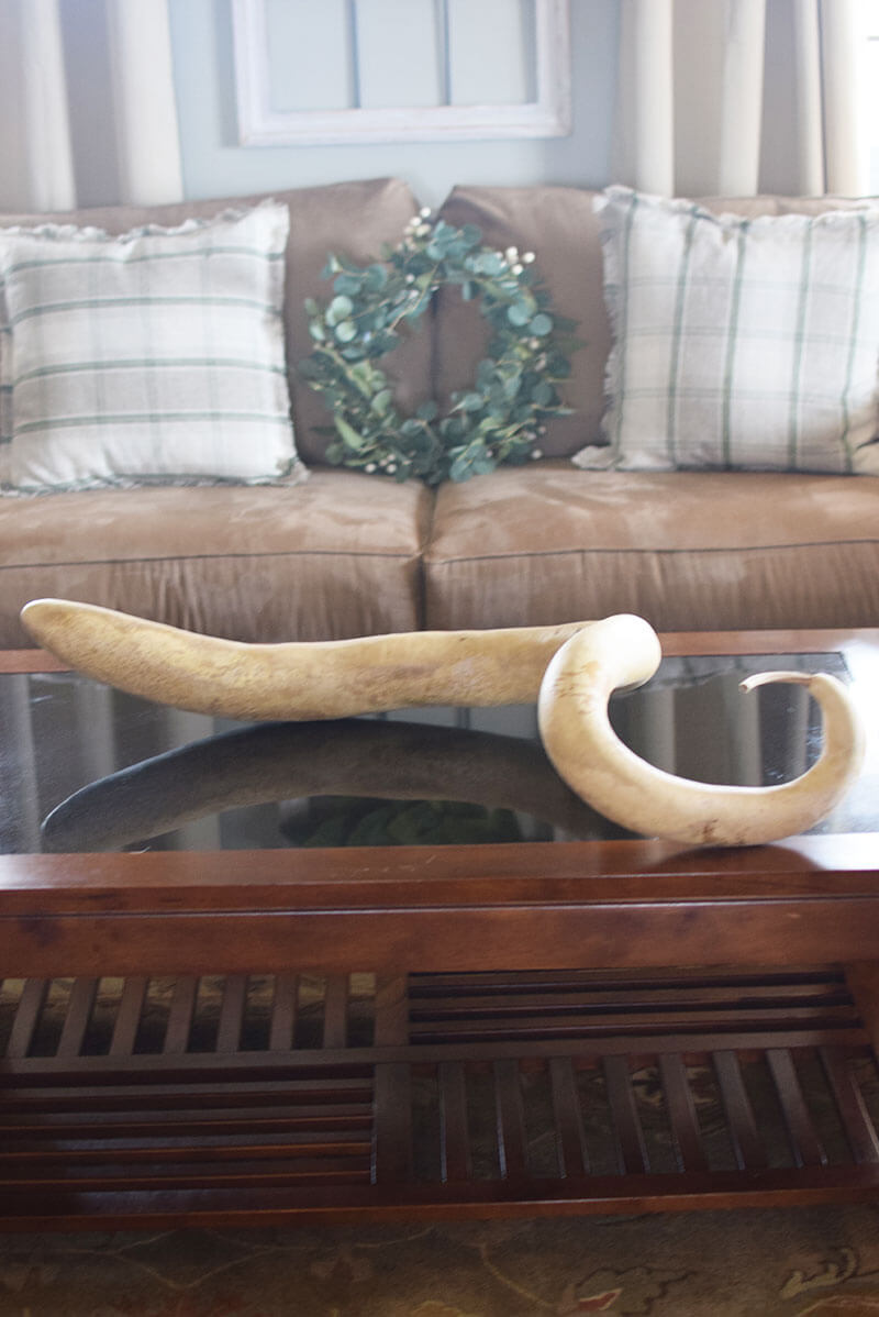 Raw snake gourd at Meadowbrooke Gourds