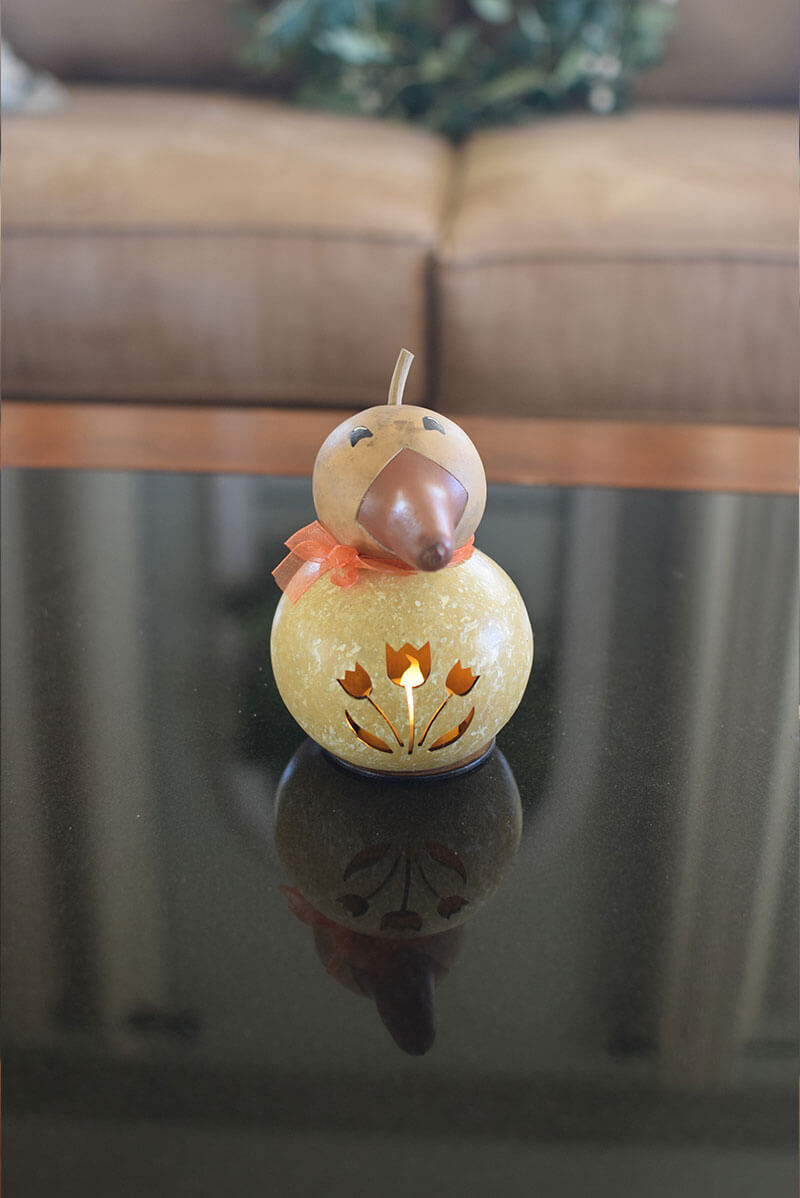 Spring duck gourd craft kit finished at Meadowbrooke Gourds