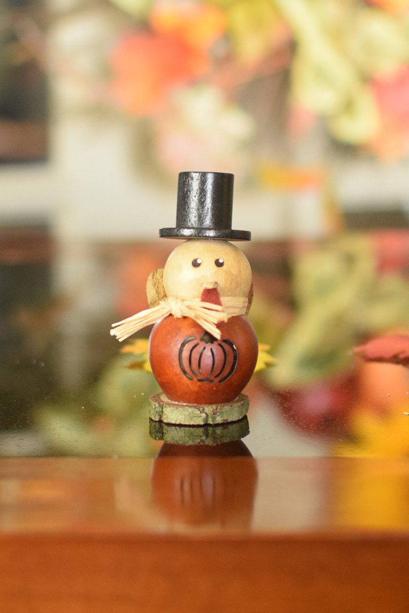 Lil Theodore - Short Orange Pack of 5