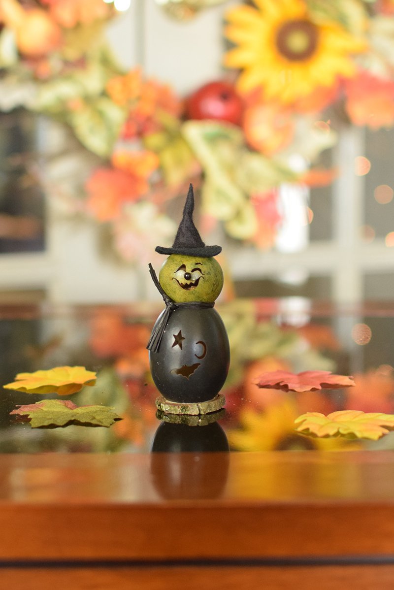 Little Fiona witch gourd at Meadowbrooke Gourds