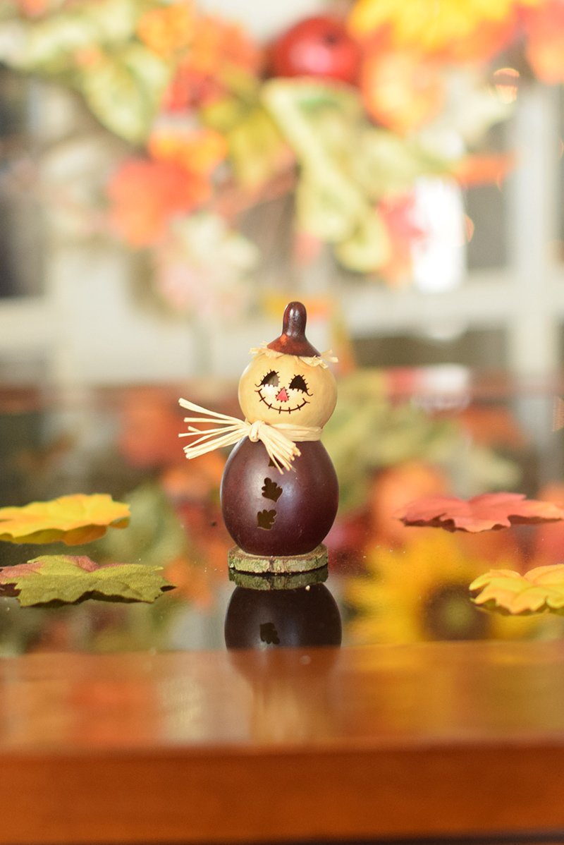 Little Warehime scarecrow gourd at Meadowbrooke Gourds