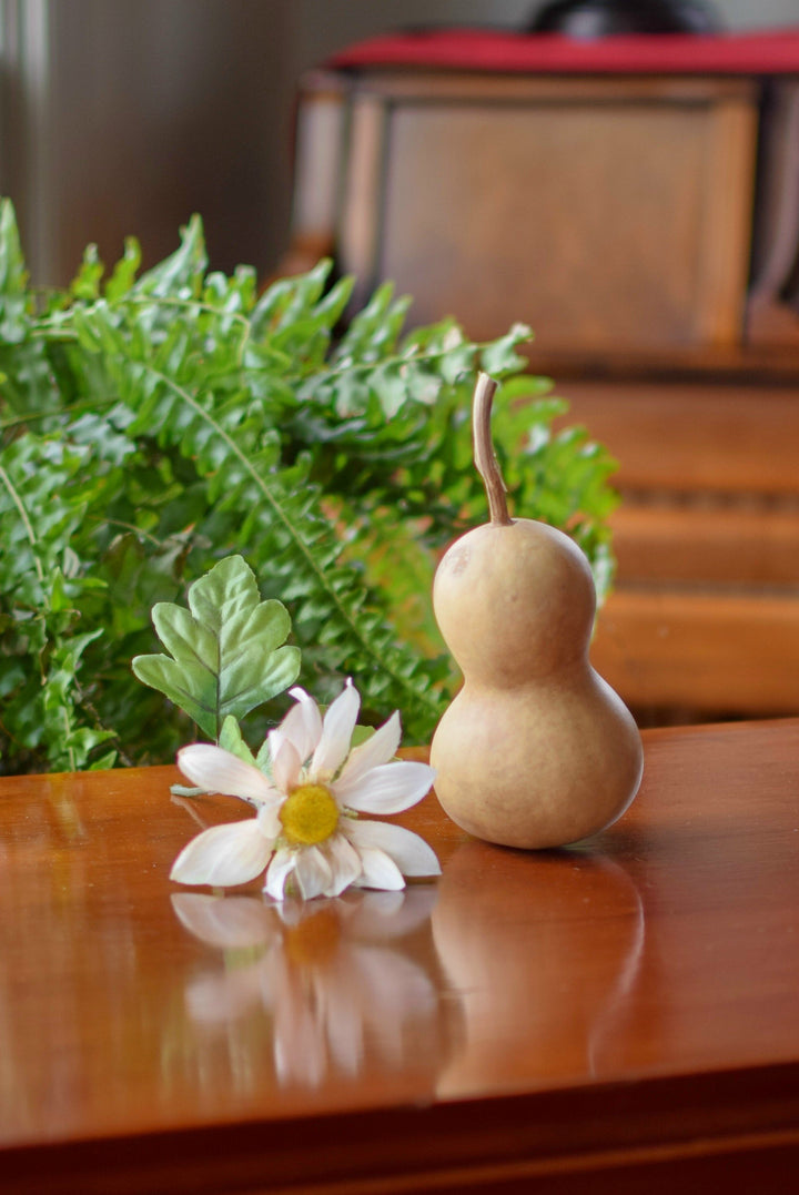 Clean raw bottle gourd