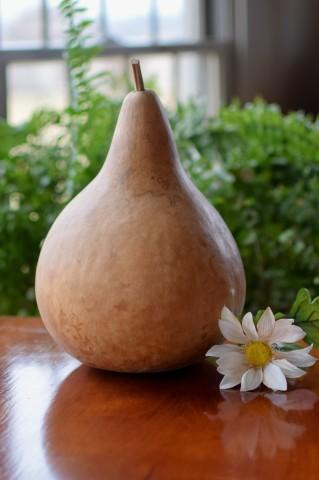 Clean raw martin gourd