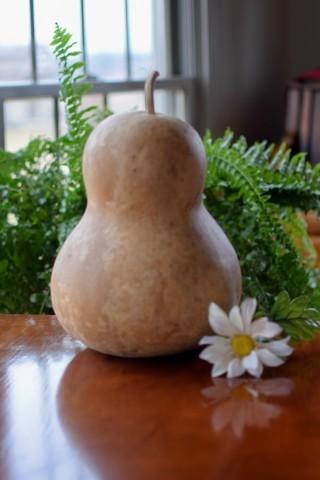 Cleaned raw bottle gourd