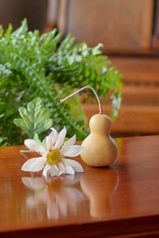 Mini Bottle Gourd Seed