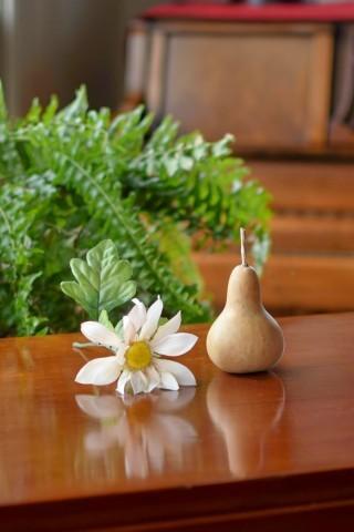 Mini Martin Gourd Seed