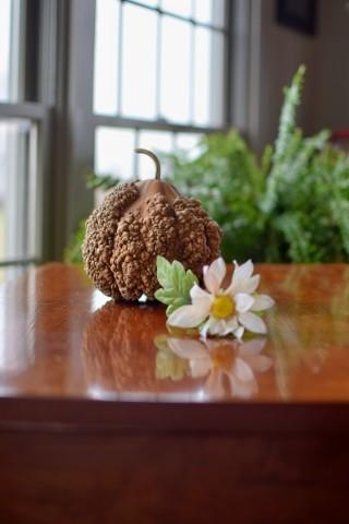 Cleaned warty gourd