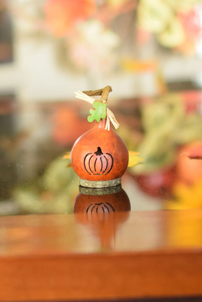 Little pumpkin gourd at Meadowbrooke Gourds