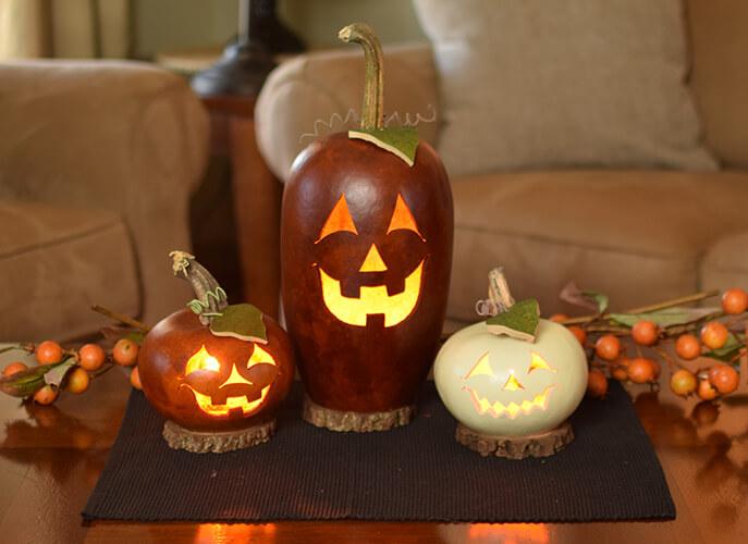 Fall is in the Air at Meadowbrooke