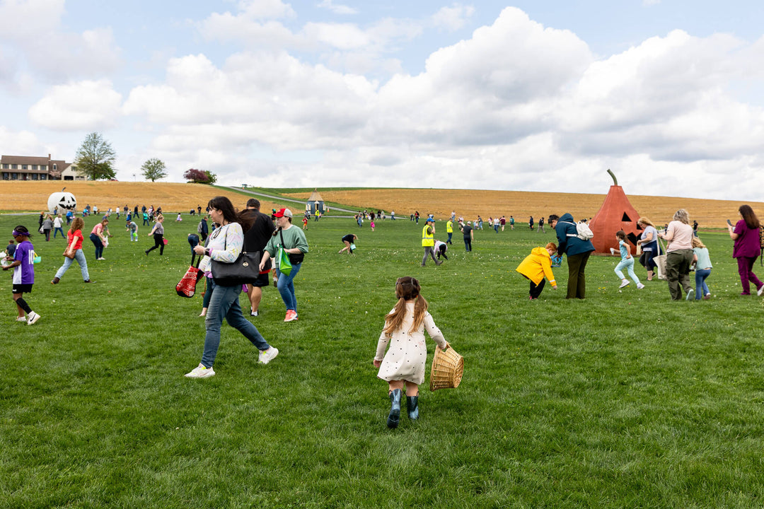 Spring Festival 2026