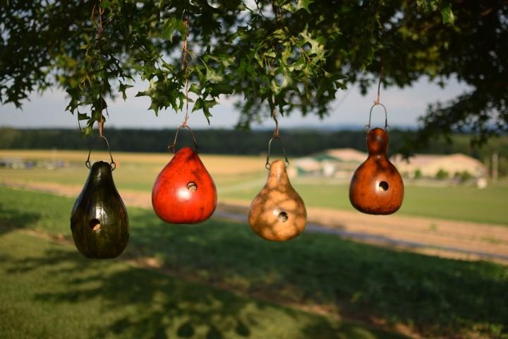 Indoor and Outdoor Cabin Birdhouses Family