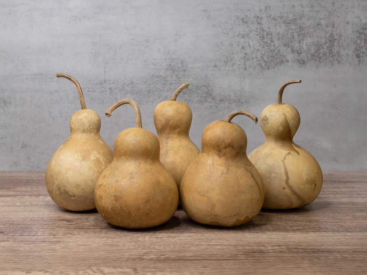Dried Gourds – Meadowbrooke Gourds