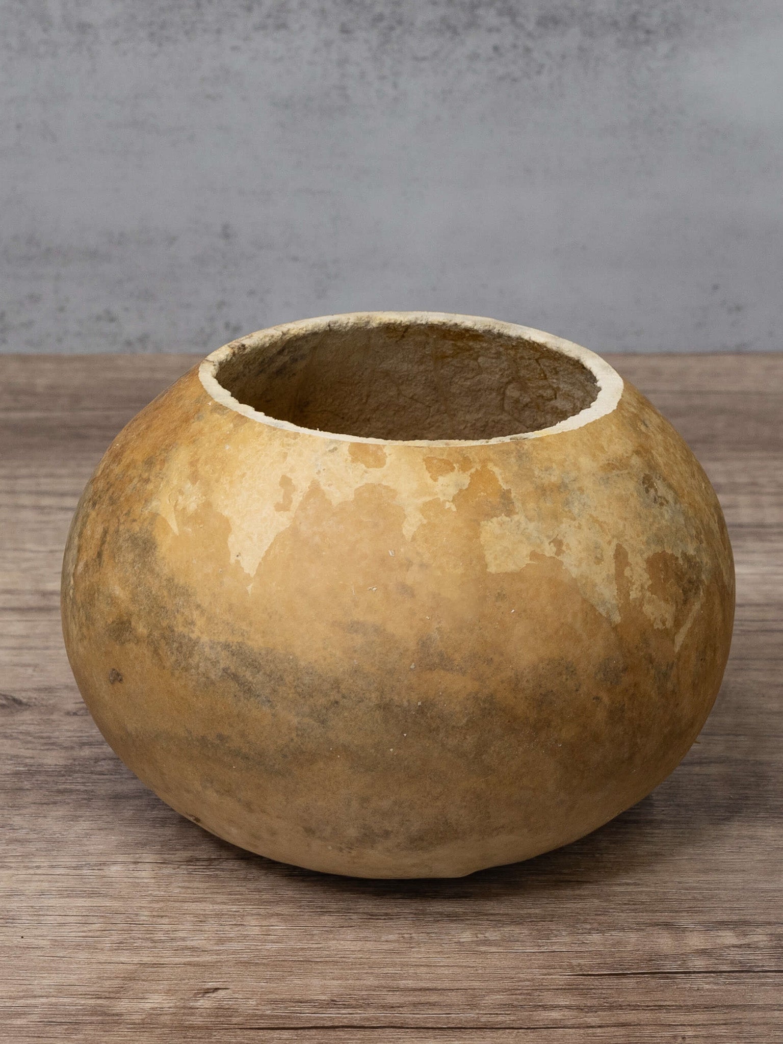 Cut Gourd Bowls