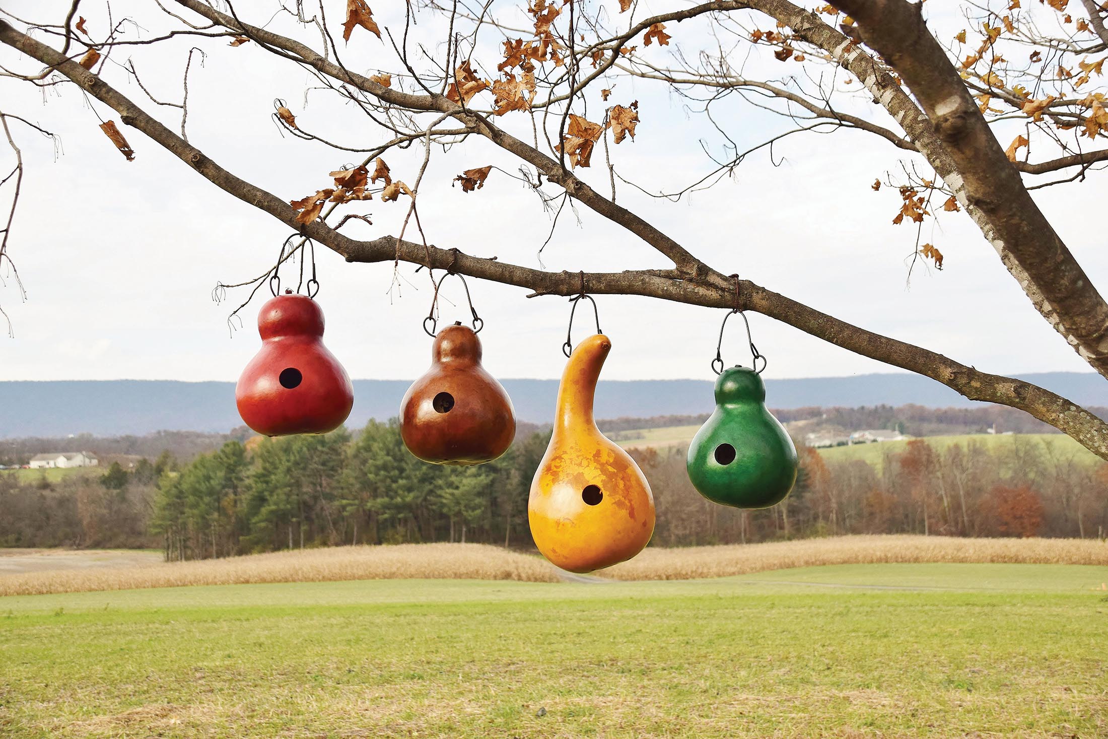 Birdhouses