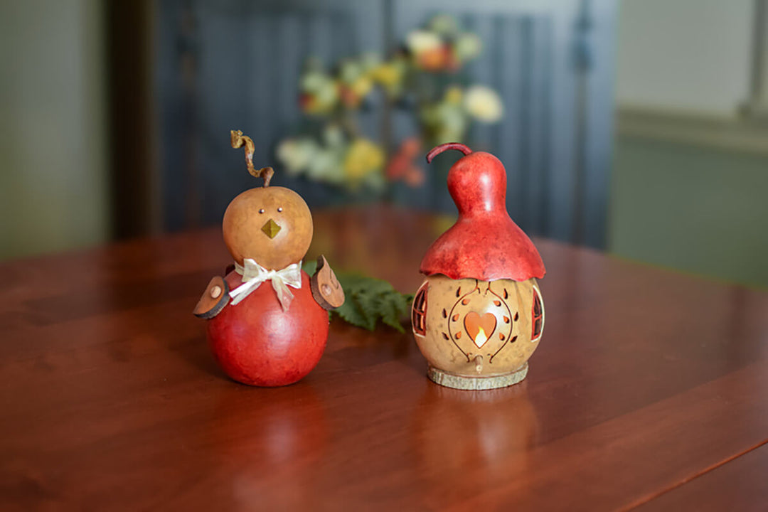 Darcy and Indoor Decorative Birdhouse