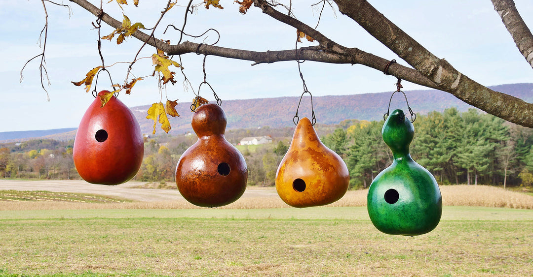 Outdoor Birdhouses at Meadowbrooke Gourds. 