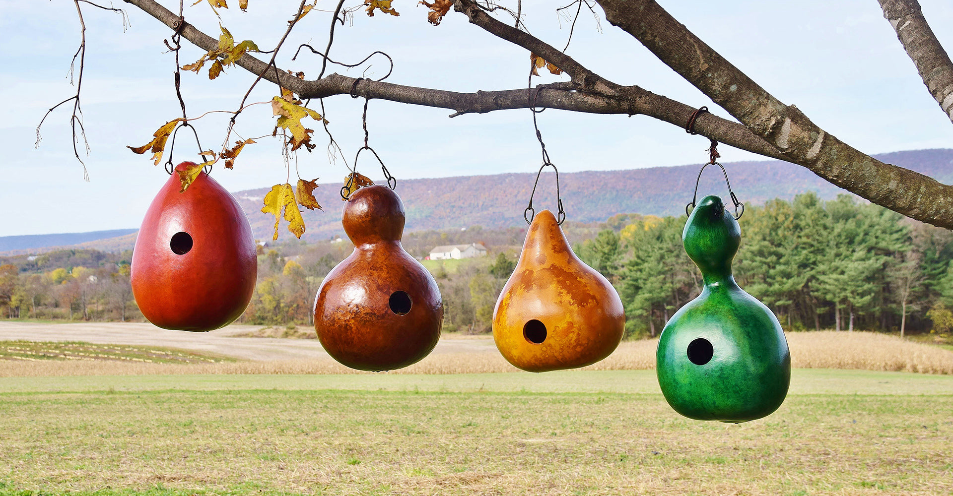 Outdoor Birdhouses at Meadowbrooke Gourds. 