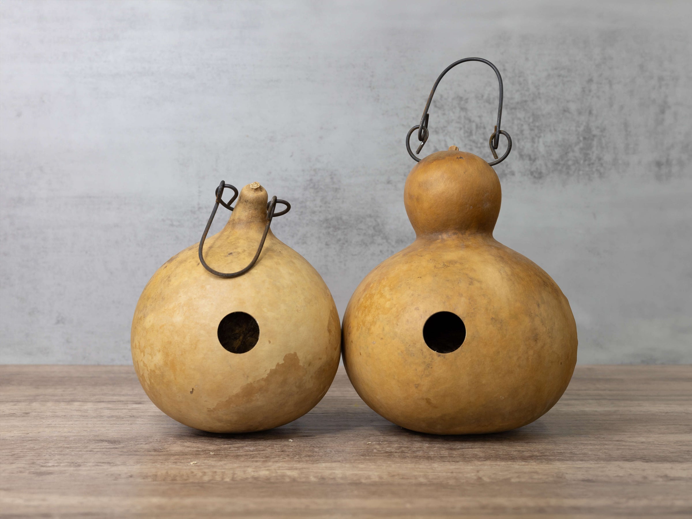 Unfinished Birdhouse Gourds