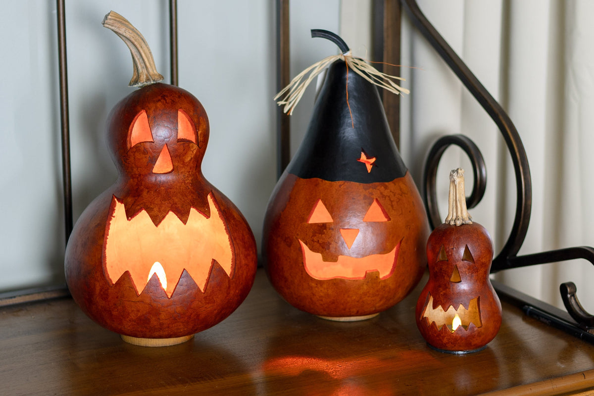 Killian and Black Jack Jack-O-Lanterns at Meadowbrooke Gourds. 