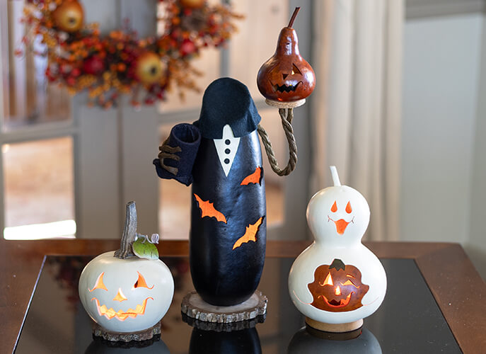 Cannon, Ichabod and Spooky Boo Gourd Family at Meadowbrooke Gourds. 