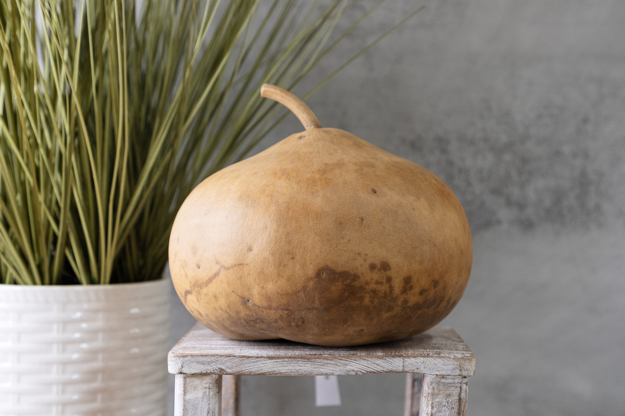 Canteen Gourds