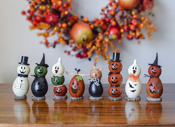 Fall Little Gourds at Meadowbrooke Gourds. 