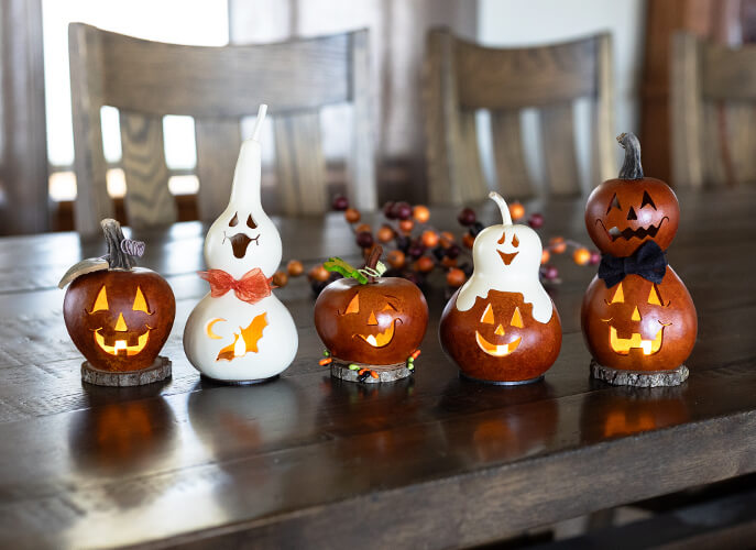 Fall Miniature Gourds at Meadowbrooke Gourds. 