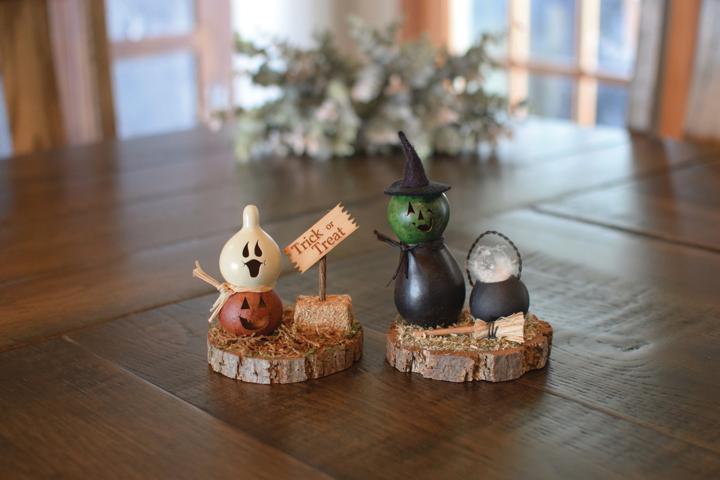 Fall Scenes at Meadowbrooke Gourds. 