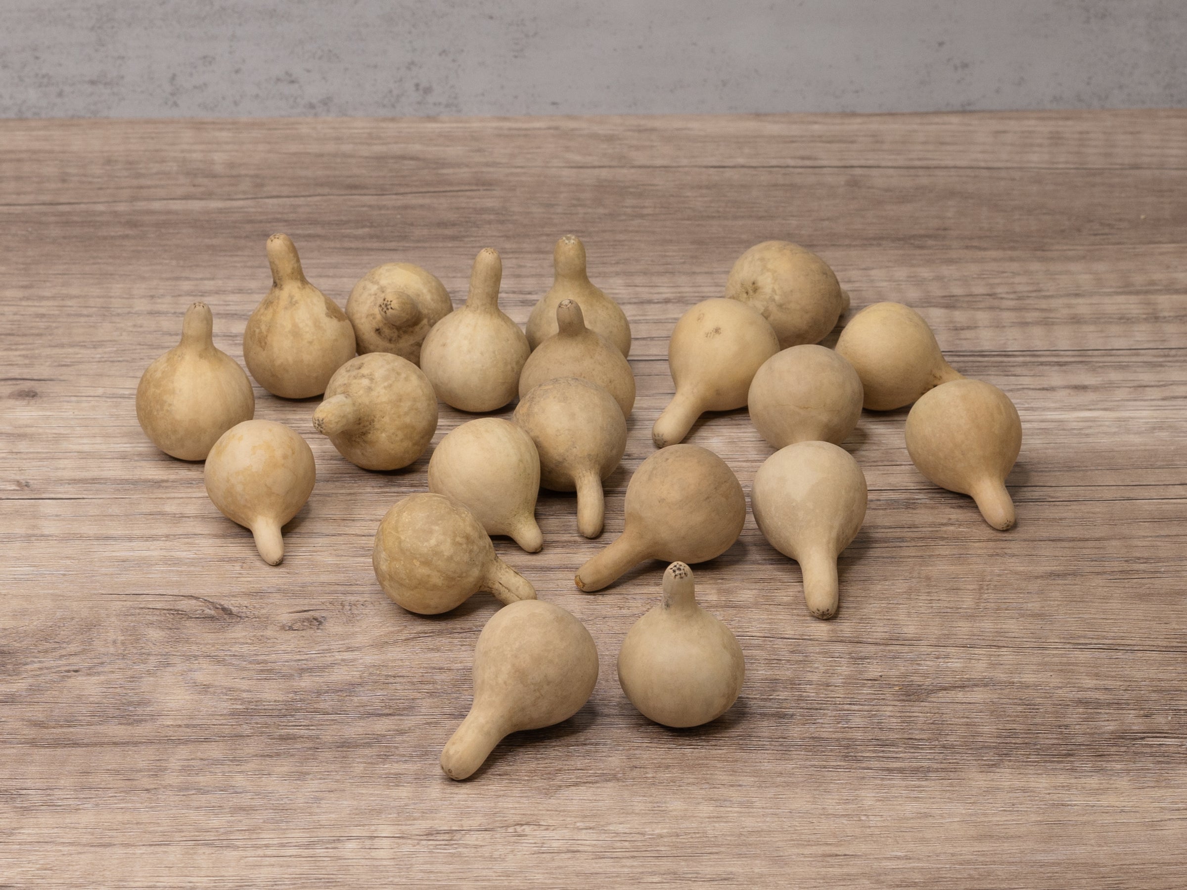 Spinner Gourds