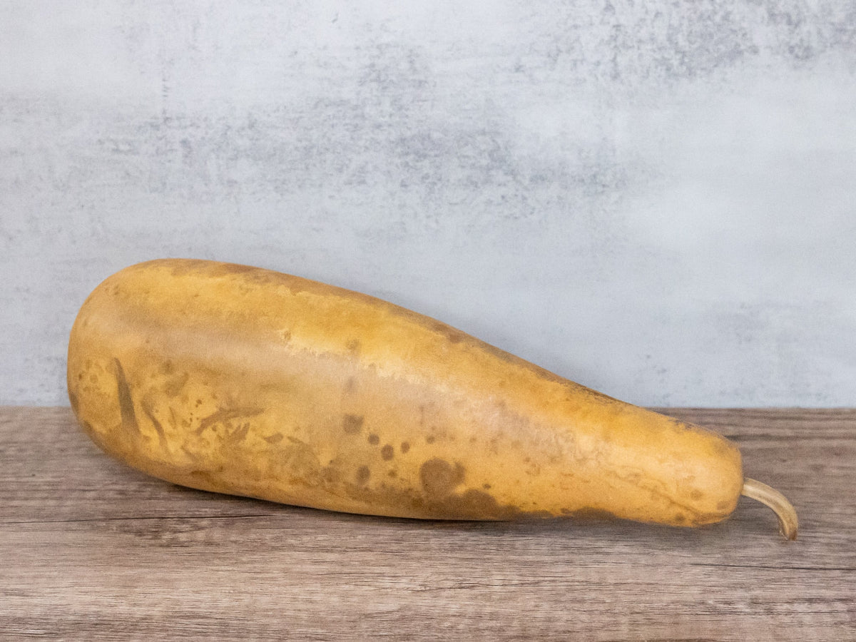 People Gourds