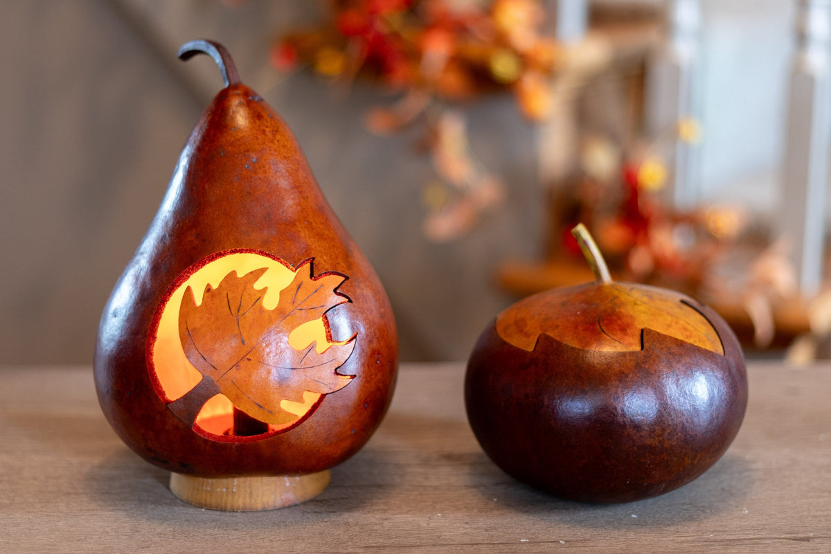 Maple Leaf and Treasure Box Gourd at Meadowbrooke Gourds. 
