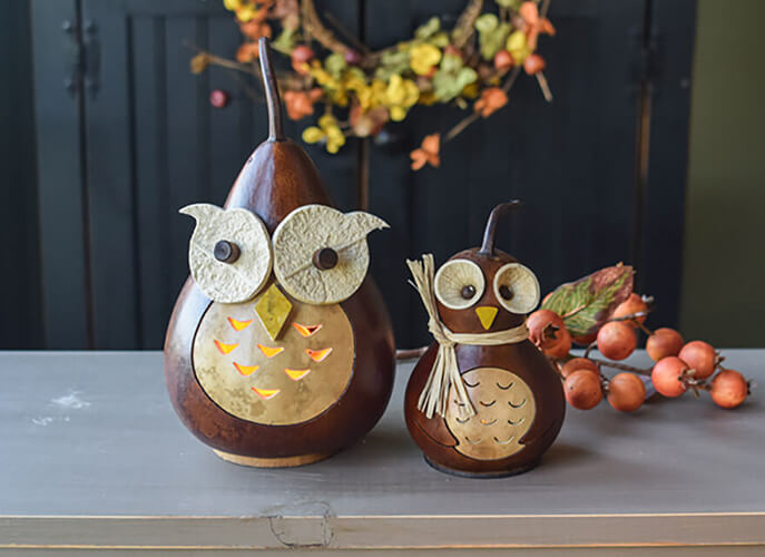 Professor Owl Gourds at Meadowbrooke Gourds. 