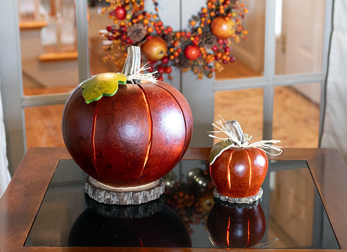 Pumpkin Luminary Gourds at Meadowbrooke Gourds. 